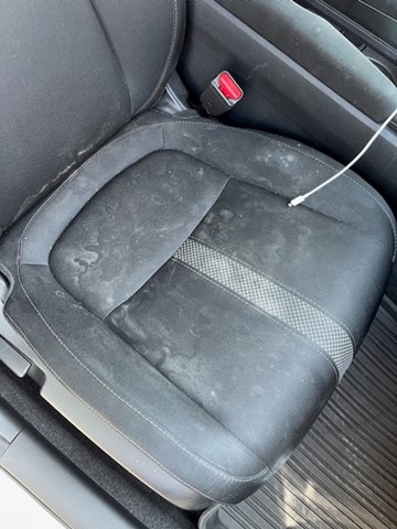 Before paint correction