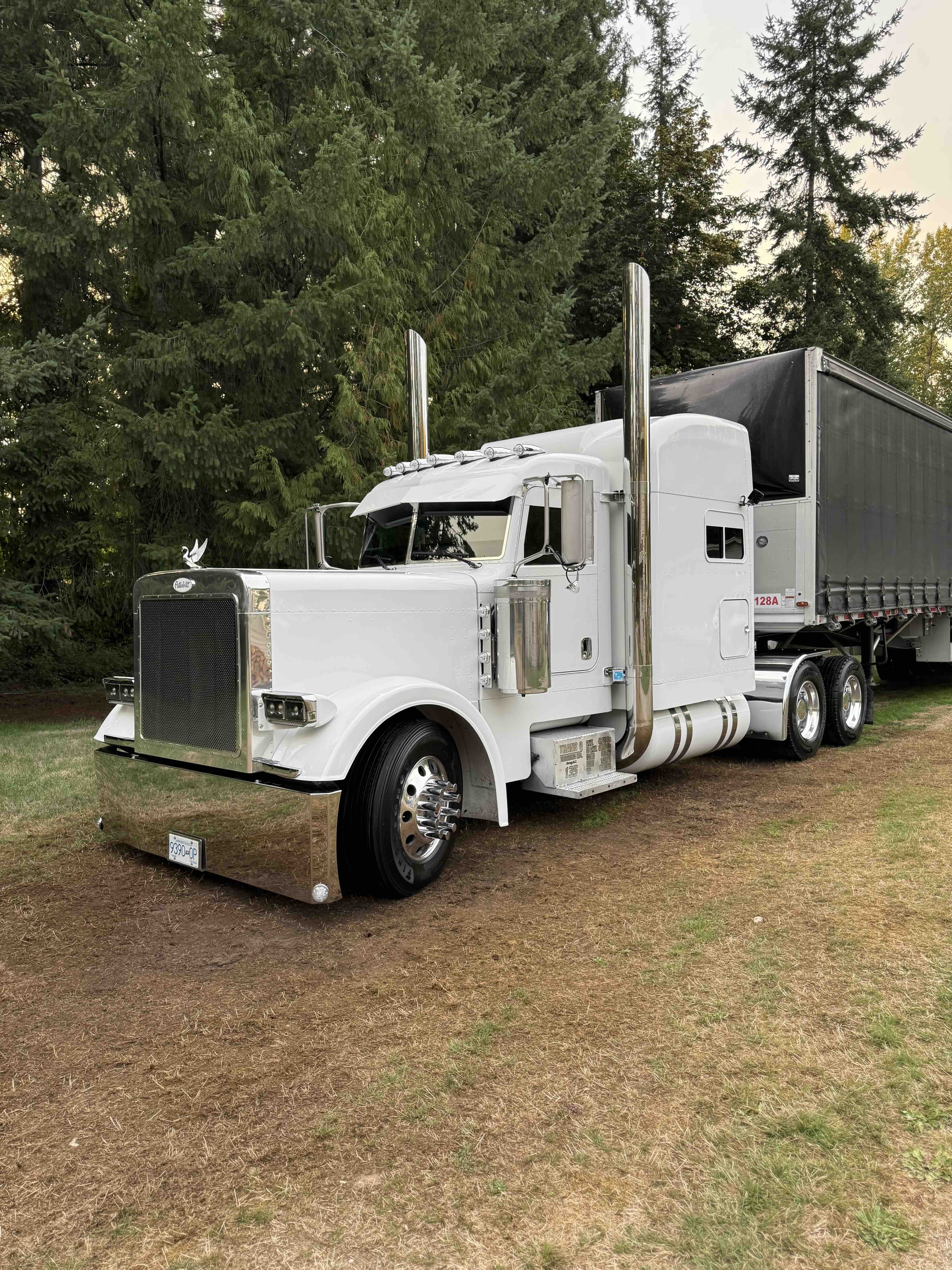 Exterior detailing 12